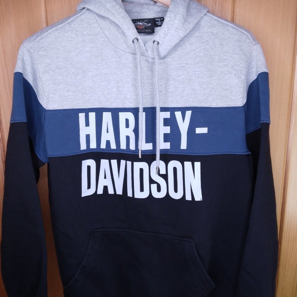 HARLEY-DAVIDSON Men's Hoodie Medium